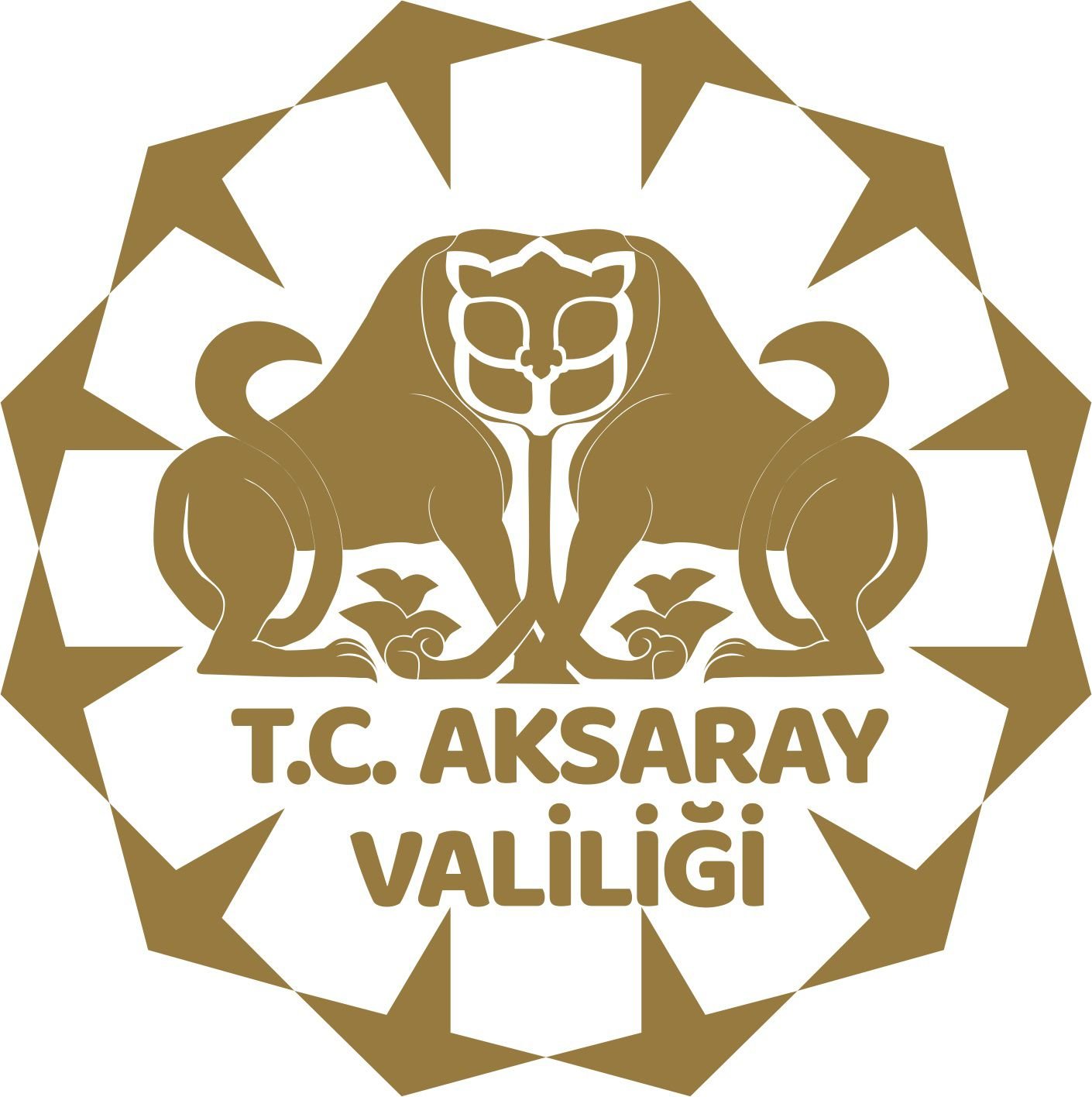 T.C. Aksaray Valiliği